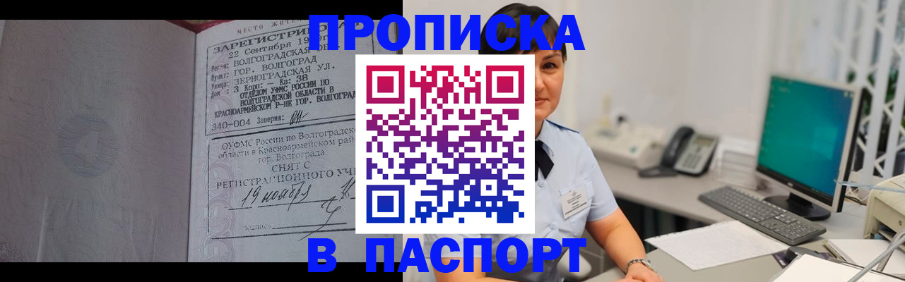 найти адрес прописки в Светогорске